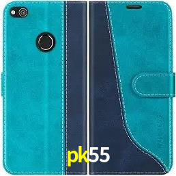 Casino Ao Vivo pk55