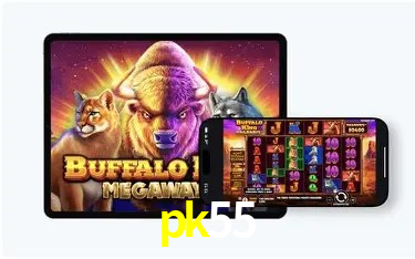 Login Seguro pk55